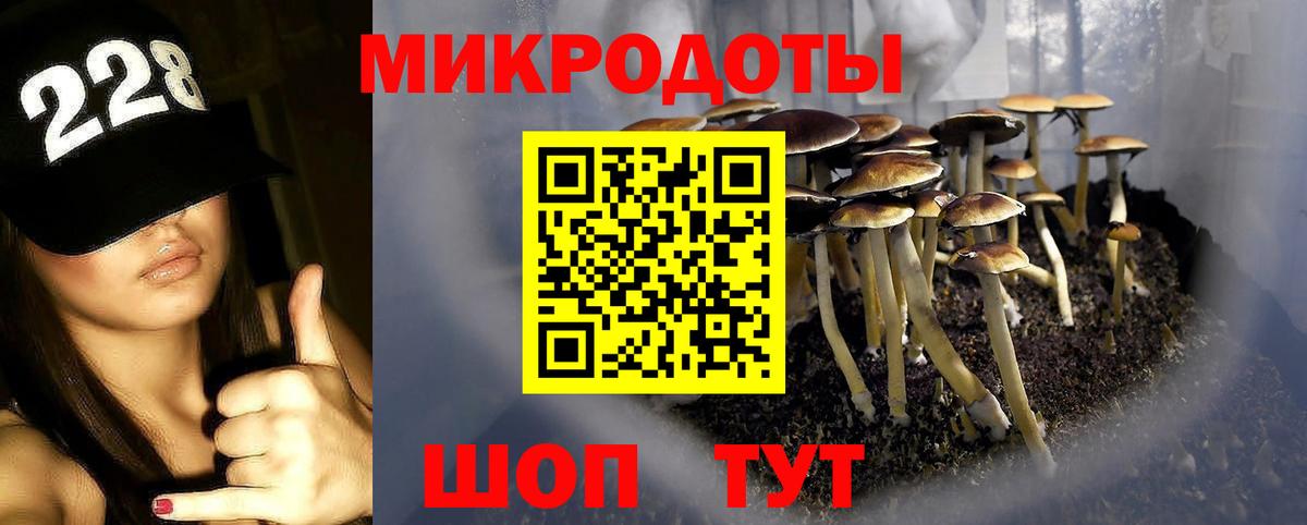 Псилоцибиновые грибы Magic Shrooms  Вход с VPN  Новоуральск 